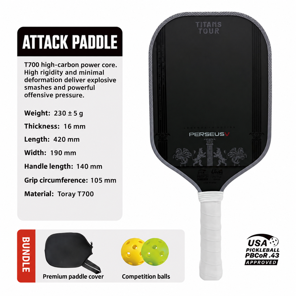 Paddle bundle with two balls and a paddle cover